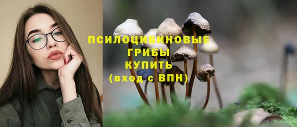 не бодяженный Алзамай