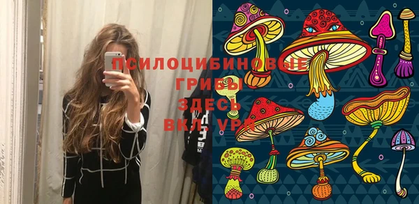 круглые Алексеевка